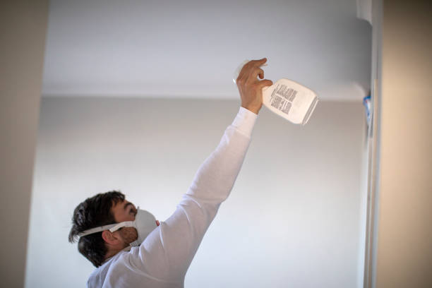 Forest, MS Mold Removal Company